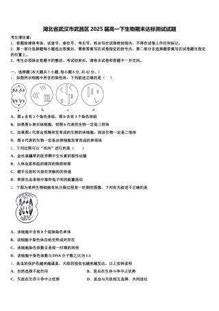 湖北省武汉市武昌区2025届高一下生物期末达标测试试题含解析