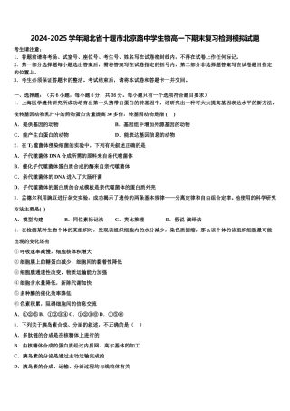 2024-2025学年湖北省十堰市北京路中学生物高一下期末复习检测模拟试题含解析