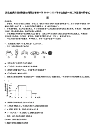 湖北省武汉钢铁集团公司第三子弟中学2024-2025学年生物高一第二学期期末统考试题含解析