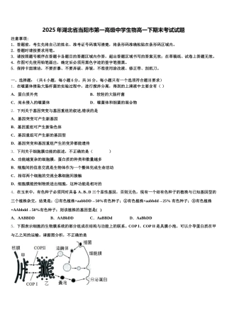 2025年湖北省当阳市第一高级中学生物高一下期末考试试题含解析