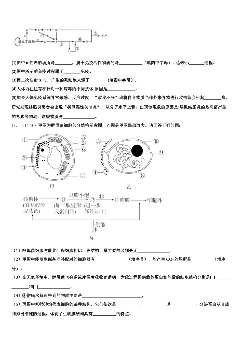 2025年湖北省荆州市公安县高一下生物期末达标测试试题含解析_第3页