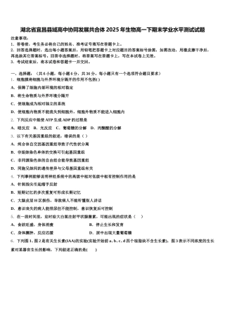 湖北省宜昌县域高中协同发展共合体2025年生物高一下期末学业水平测试试题含解析