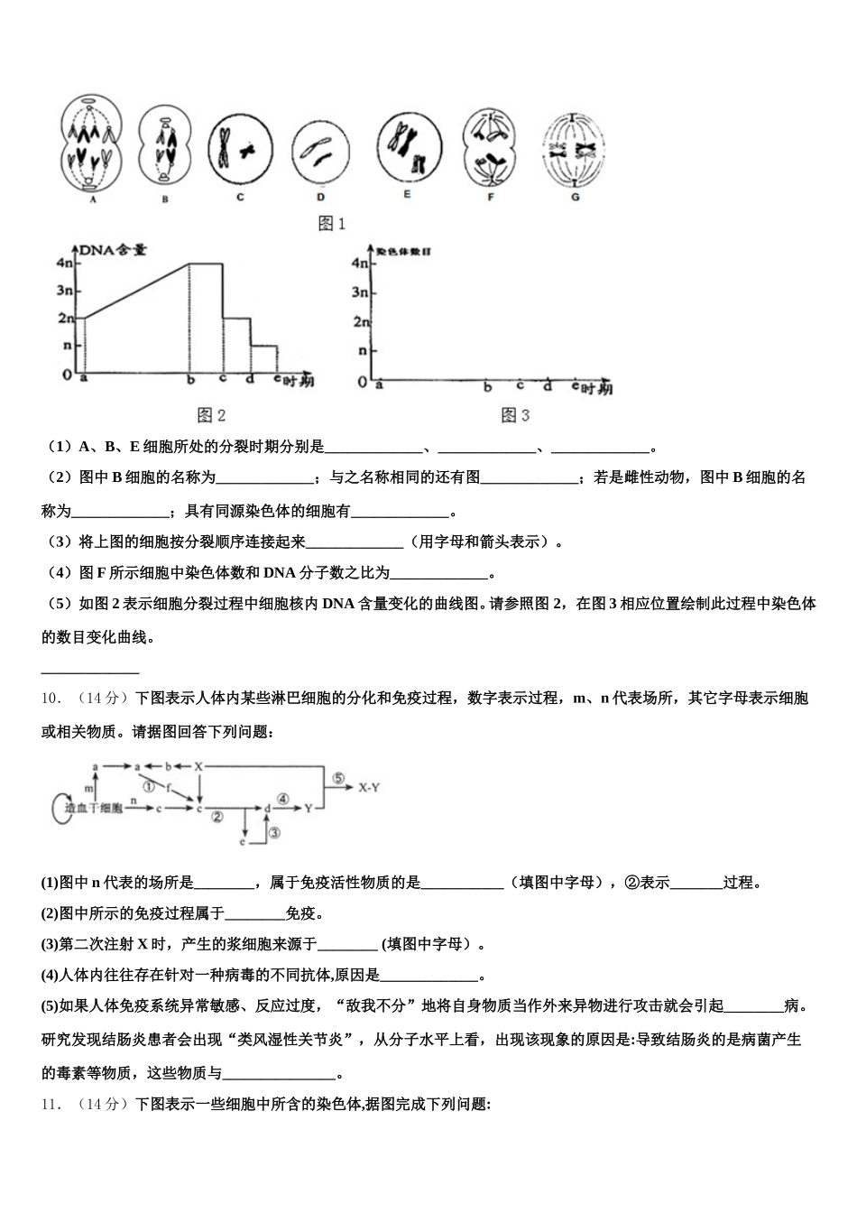 2024-2025学年湖北省孝感一中高一生物第二学期期末复习检测试题含解析_第3页