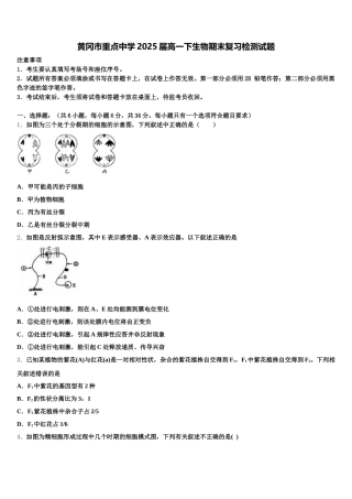 黄冈市重点中学2025届高一下生物期末复习检测试题含解析