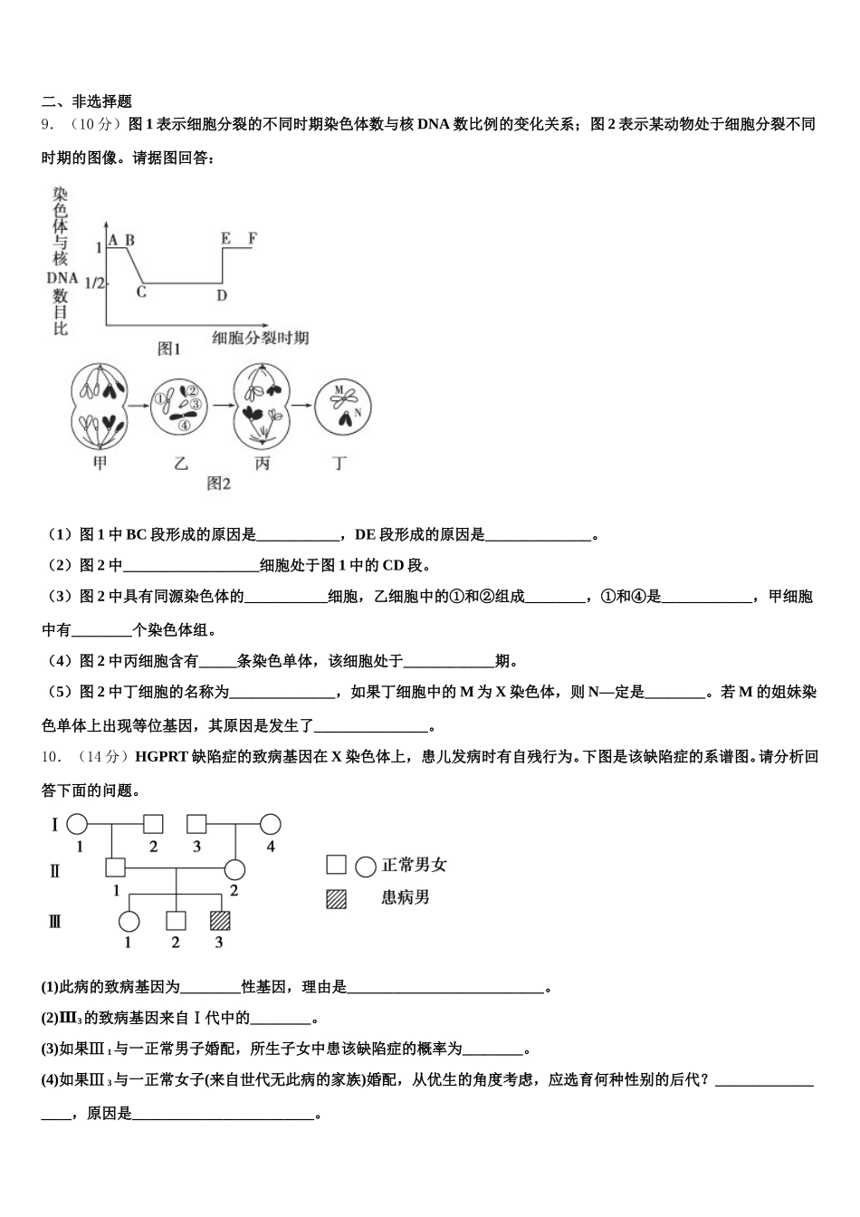 2025年湖北荆州市公安县车胤中学生物高一下期末考试试题含解析_第3页