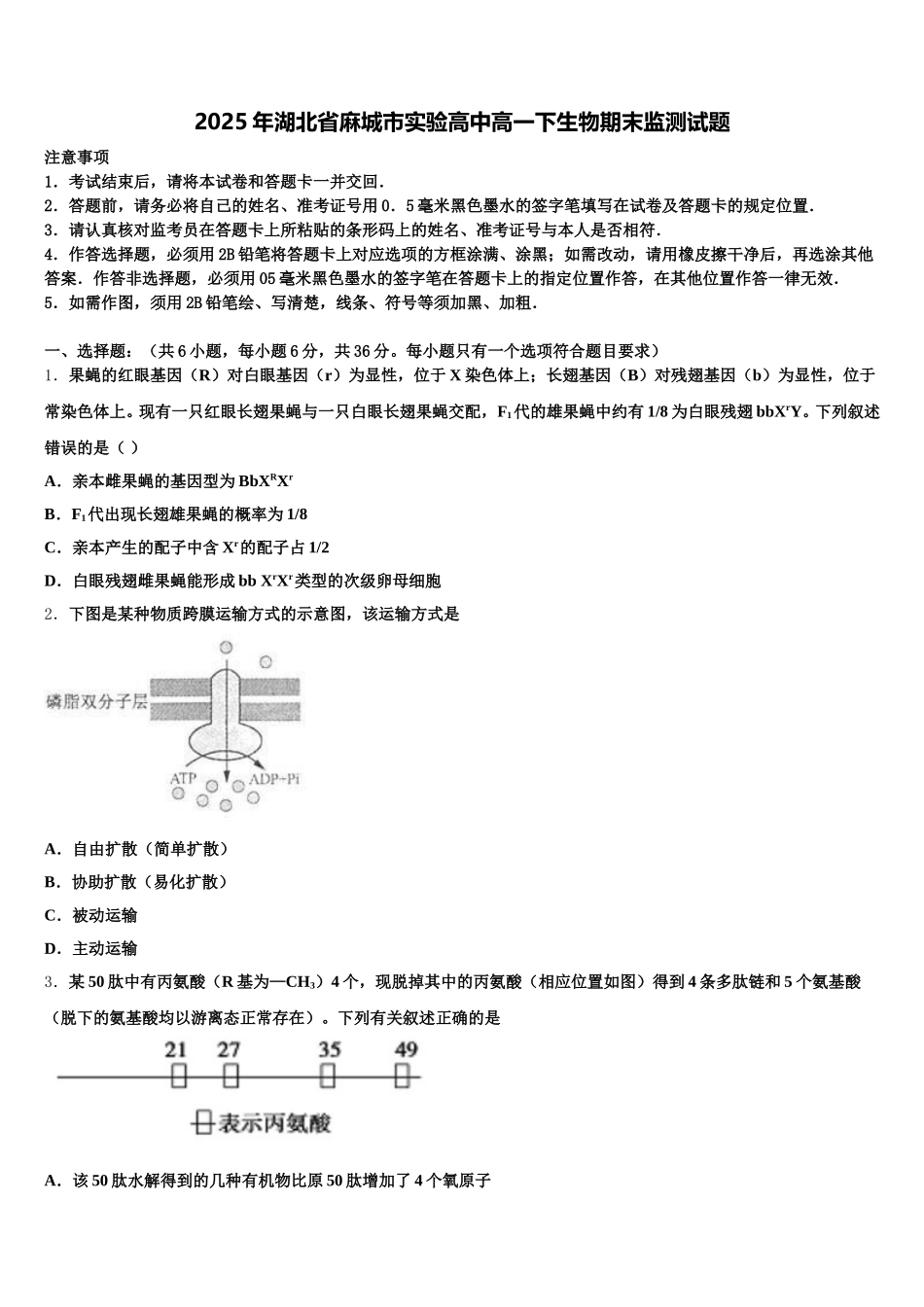 2025年湖北省麻城市实验高中高一下生物期末监测试题含解析_第1页