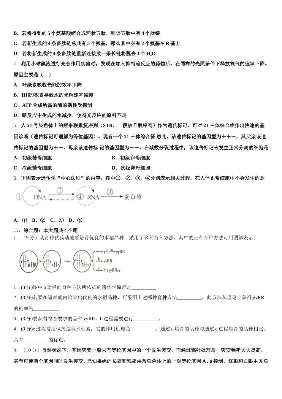 2025年湖北省麻城市实验高中高一下生物期末监测试题含解析_第2页