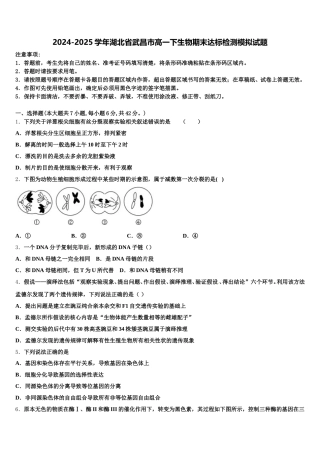 2024-2025学年湖北省武昌市高一下生物期末达标检测模拟试题含解析
