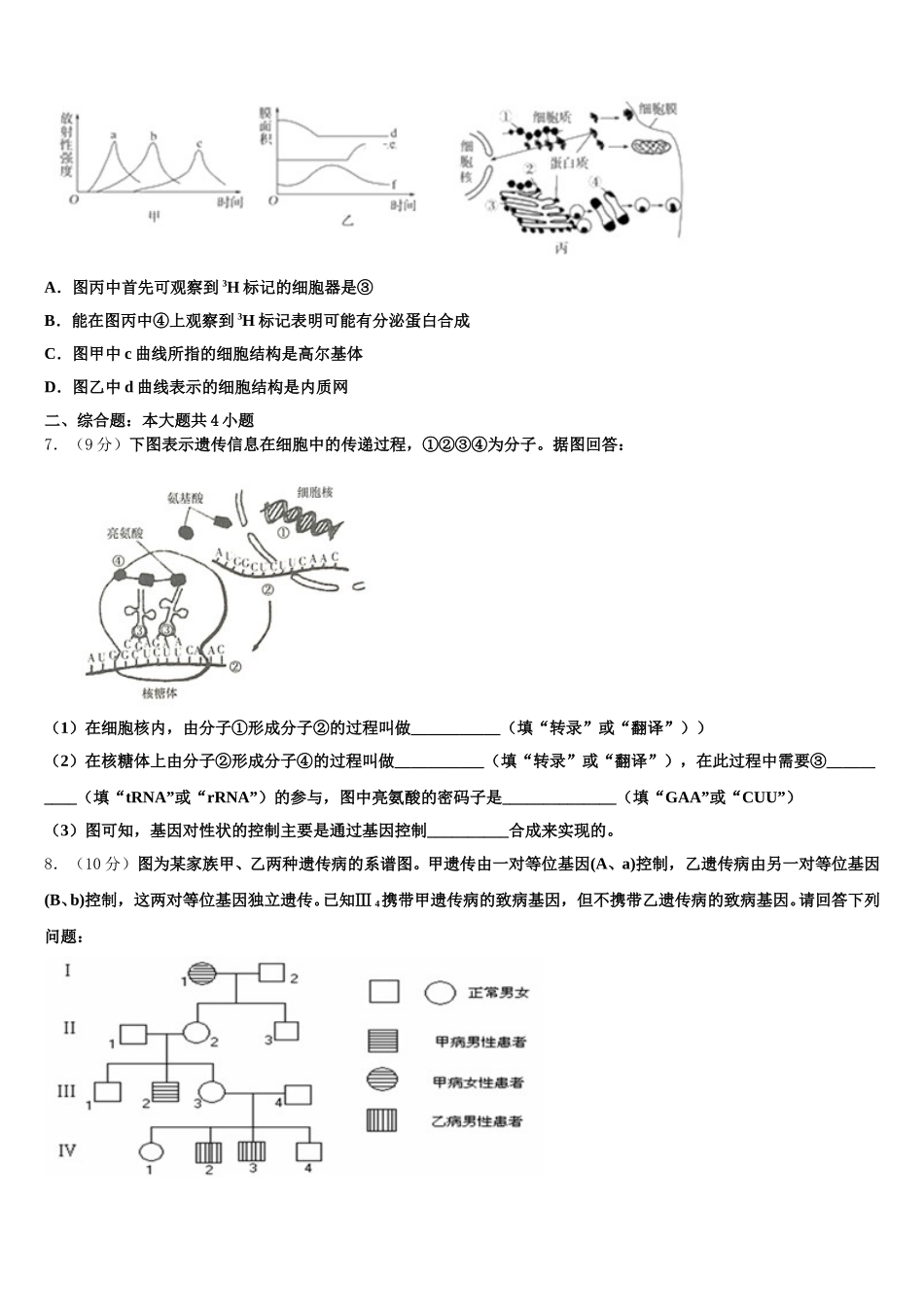 2025届湖北省黄冈市浠水县洗马高级中学高一下生物期末质量检测模拟试题含解析_第2页