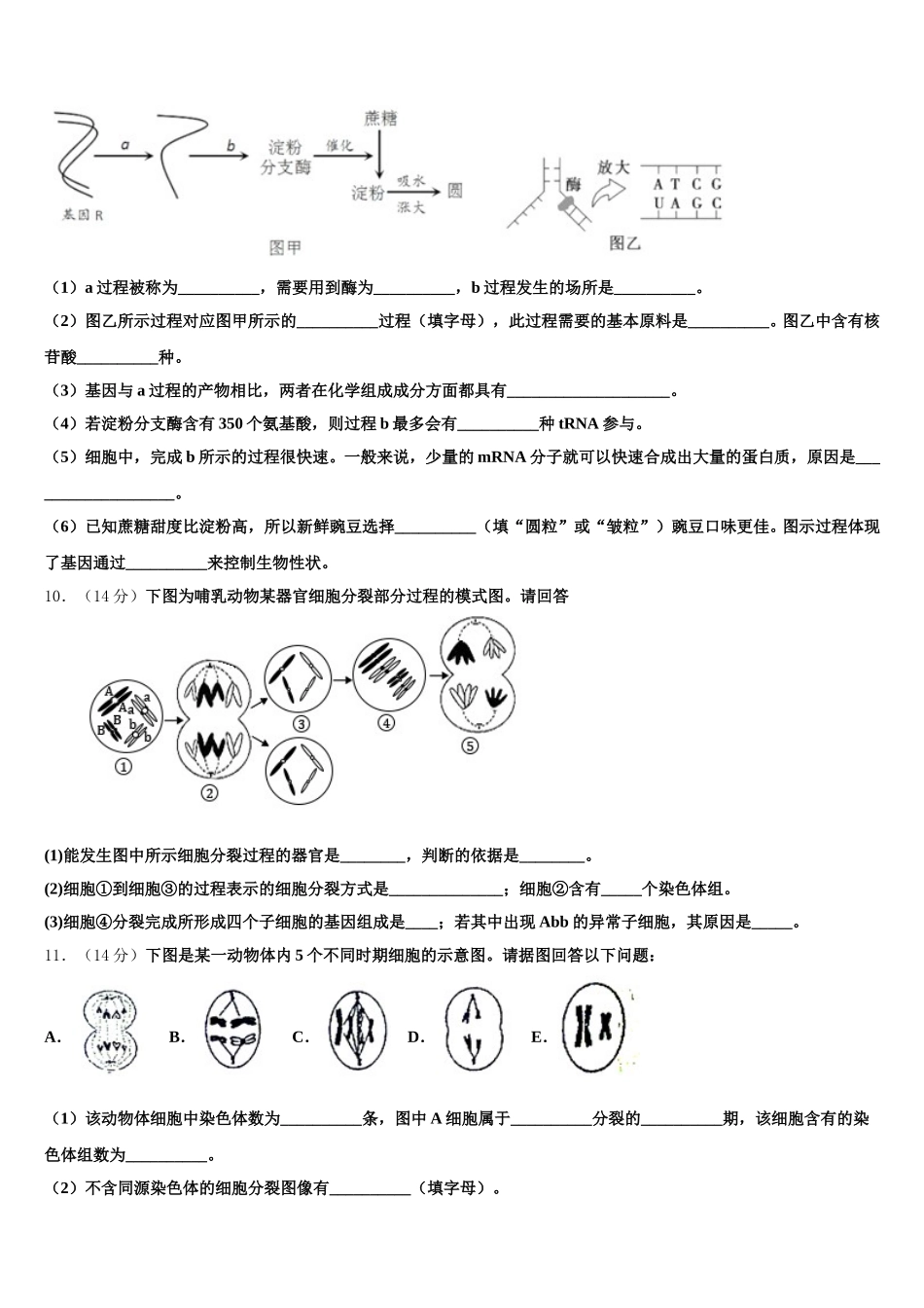 湖北省鄂州市部分高中联考协作体2024-2025学年高一下生物期末预测试题含解析_第3页