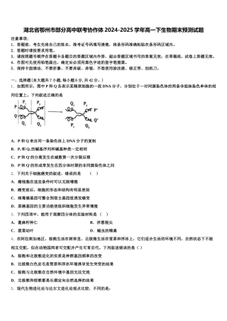 湖北省鄂州市部分高中联考协作体2024-2025学年高一下生物期末预测试题含解析