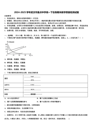 2024-2025学年武汉市重点中学高一下生物期末教学质量检测试题含解析