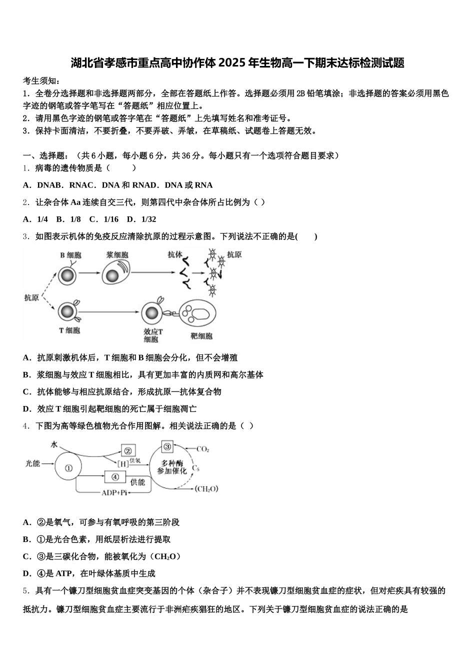 湖北省孝感市重点高中协作体2025年生物高一下期末达标检测试题含解析_第1页