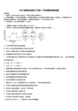 2025届湖北省武汉二中高一下生物期末监测试题含解析
