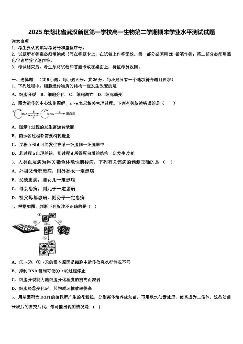 2025年湖北省武汉新区第一学校高一生物第二学期期末学业水平测试试题含解析_第1页