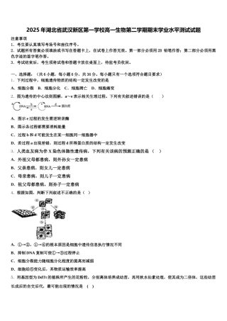 2025年湖北省武汉新区第一学校高一生物第二学期期末学业水平测试试题含解析