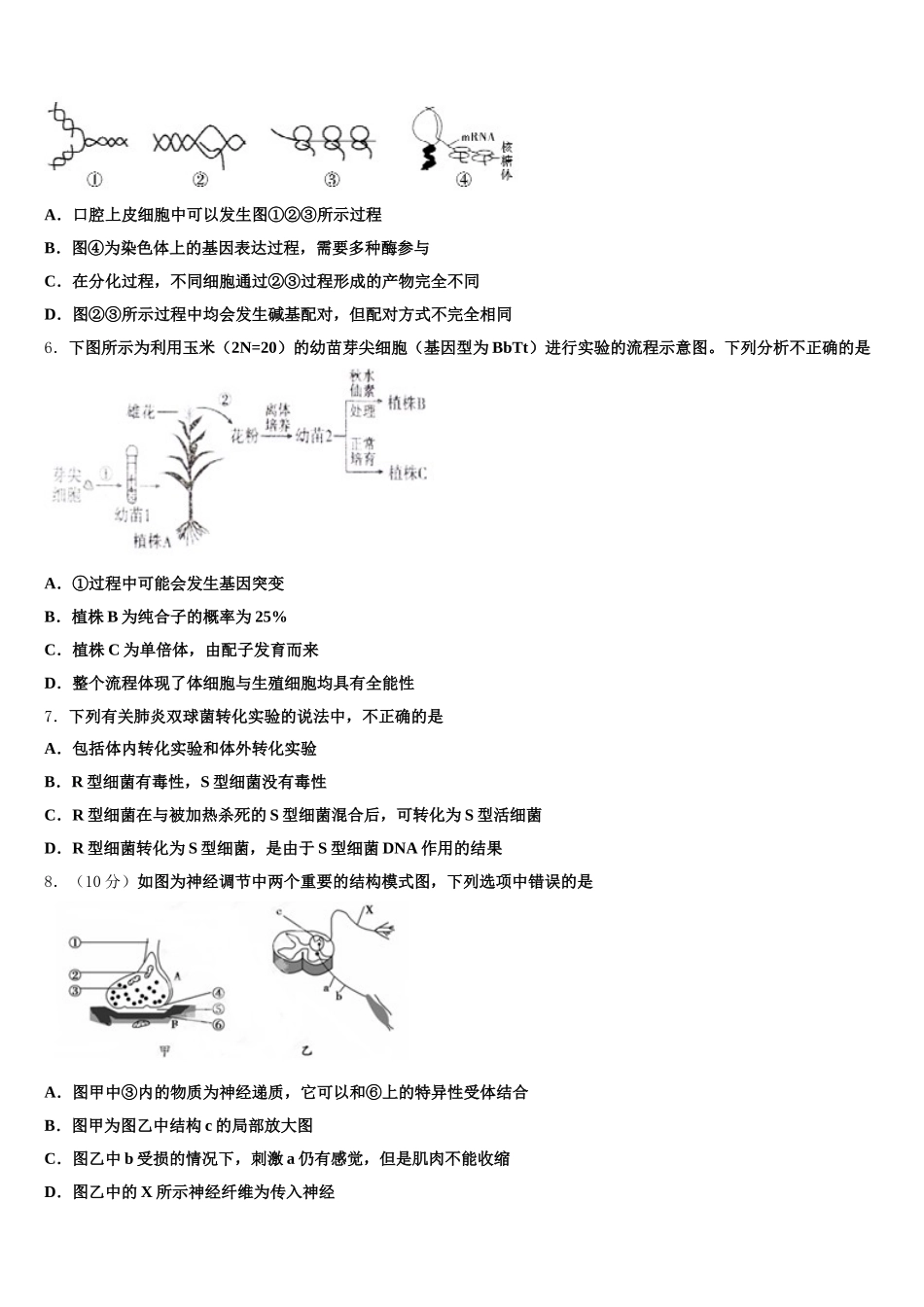 湖北安陆一中2024-2025学年高一下生物期末教学质量检测试题含解析_第2页