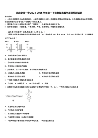 湖北安陆一中2024-2025学年高一下生物期末教学质量检测试题含解析