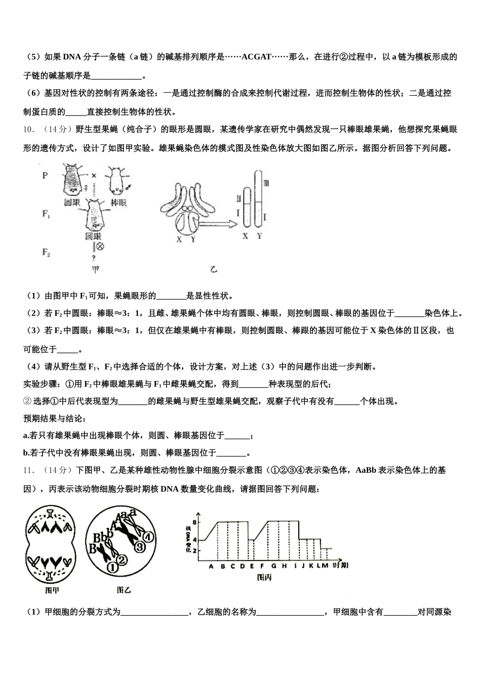 湖北省枣阳市白水高中2024-2025学年高一生物第二学期期末达标检测模拟试题含解析_第3页