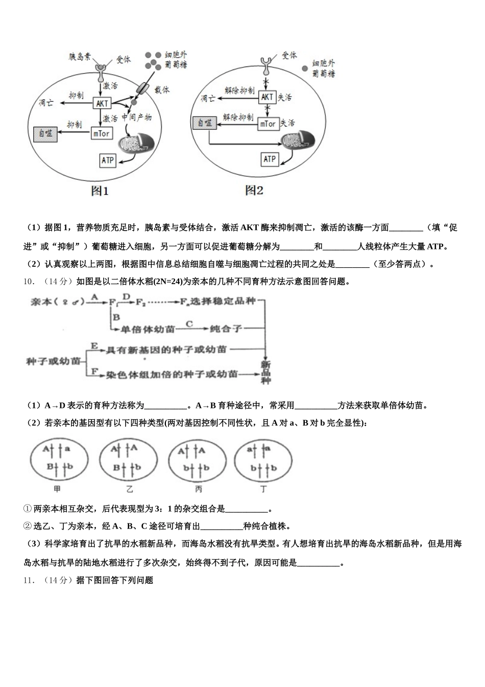 2025届湖北省宜昌市部分示范高中教学协作体高一生物第二学期期末质量跟踪监视模拟试题含解析_第3页