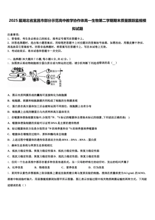 2025届湖北省宜昌市部分示范高中教学协作体高一生物第二学期期末质量跟踪监视模拟试题含解析
