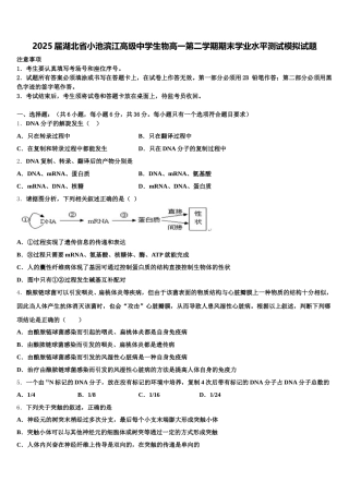 2025届湖北省小池滨江高级中学生物高一第二学期期末学业水平测试模拟试题含解析