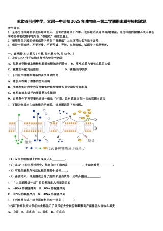 湖北省荆州中学、宜昌一中两校2025年生物高一第二学期期末联考模拟试题含解析