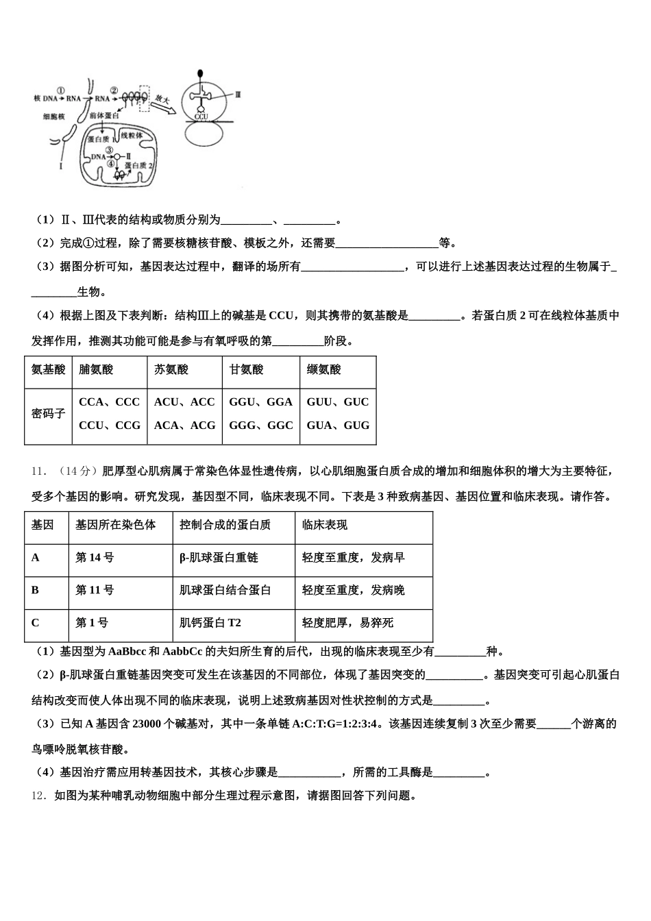 2025届文海-黄冈八模生物高一下期末达标检测试题含解析_第3页