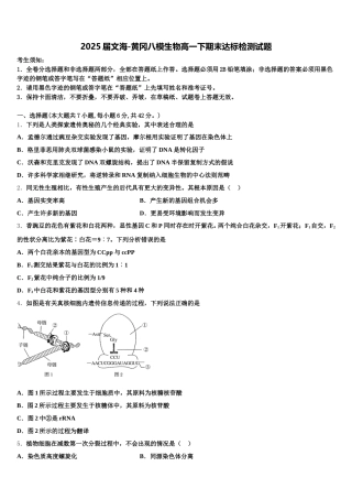 2025届文海-黄冈八模生物高一下期末达标检测试题含解析