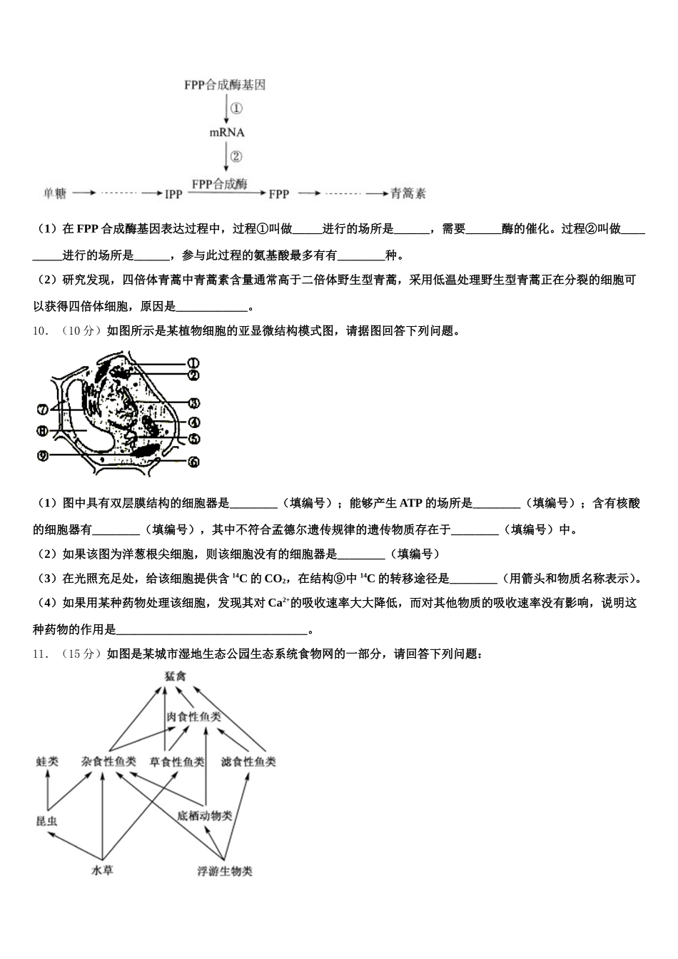 湖北省武汉市华中师大一附中2025年高一下生物期末经典模拟试题含解析_第3页