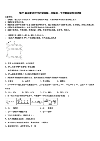 2025年湖北省武汉市常青第一中学高一下生物期末检测试题含解析