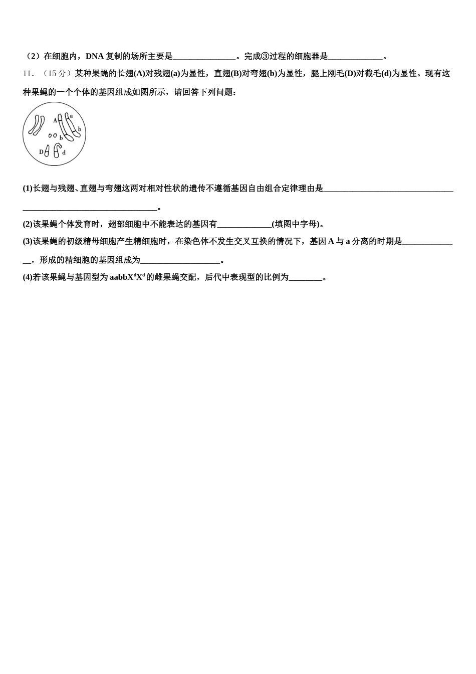 湖北省武汉钢铁集团公司第三子弟中学2024-2025学年高一生物第二学期期末统考模拟试题含解析_第3页