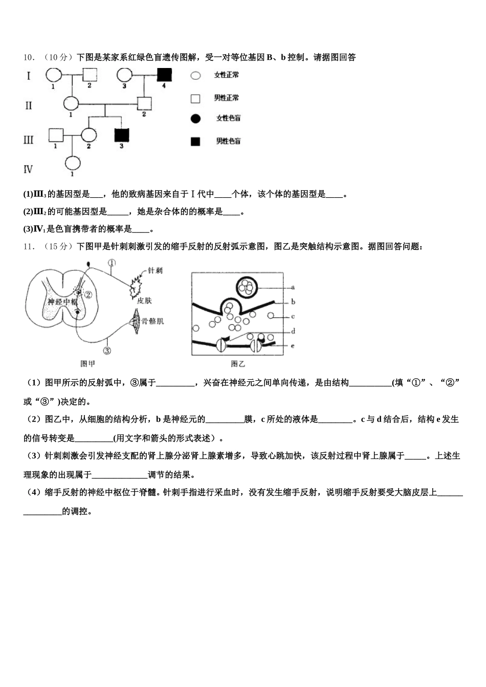 2025届湖北省武汉市武汉外国语学校高一生物第二学期期末学业水平测试模拟试题含解析_第3页