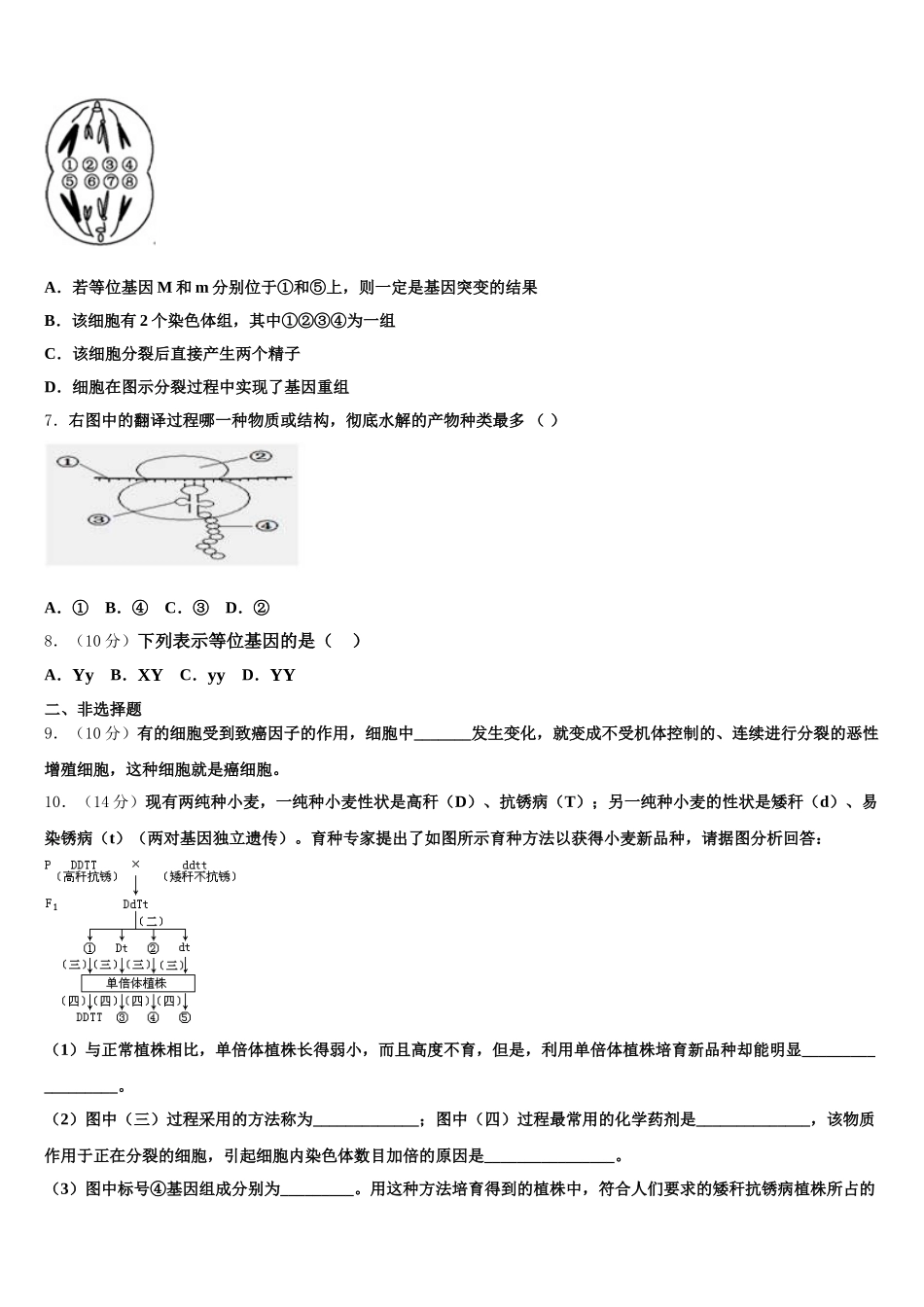 2024-2025学年湖北省宜昌市葛洲坝中学生物高一第二学期期末复习检测试题含解析_第2页