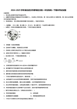 2024-2025学年湖北武汉市蔡甸区汉阳一中生物高一下期末考试试题含解析