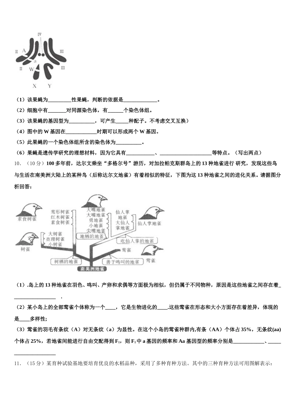 2025年湖北省孝感市部分重点学校高一生物第二学期期末考试模拟试题含解析_第3页
