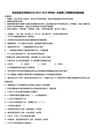 湖北省武汉市新洲三中2024-2025学年高一生物第二学期期末经典试题含解析