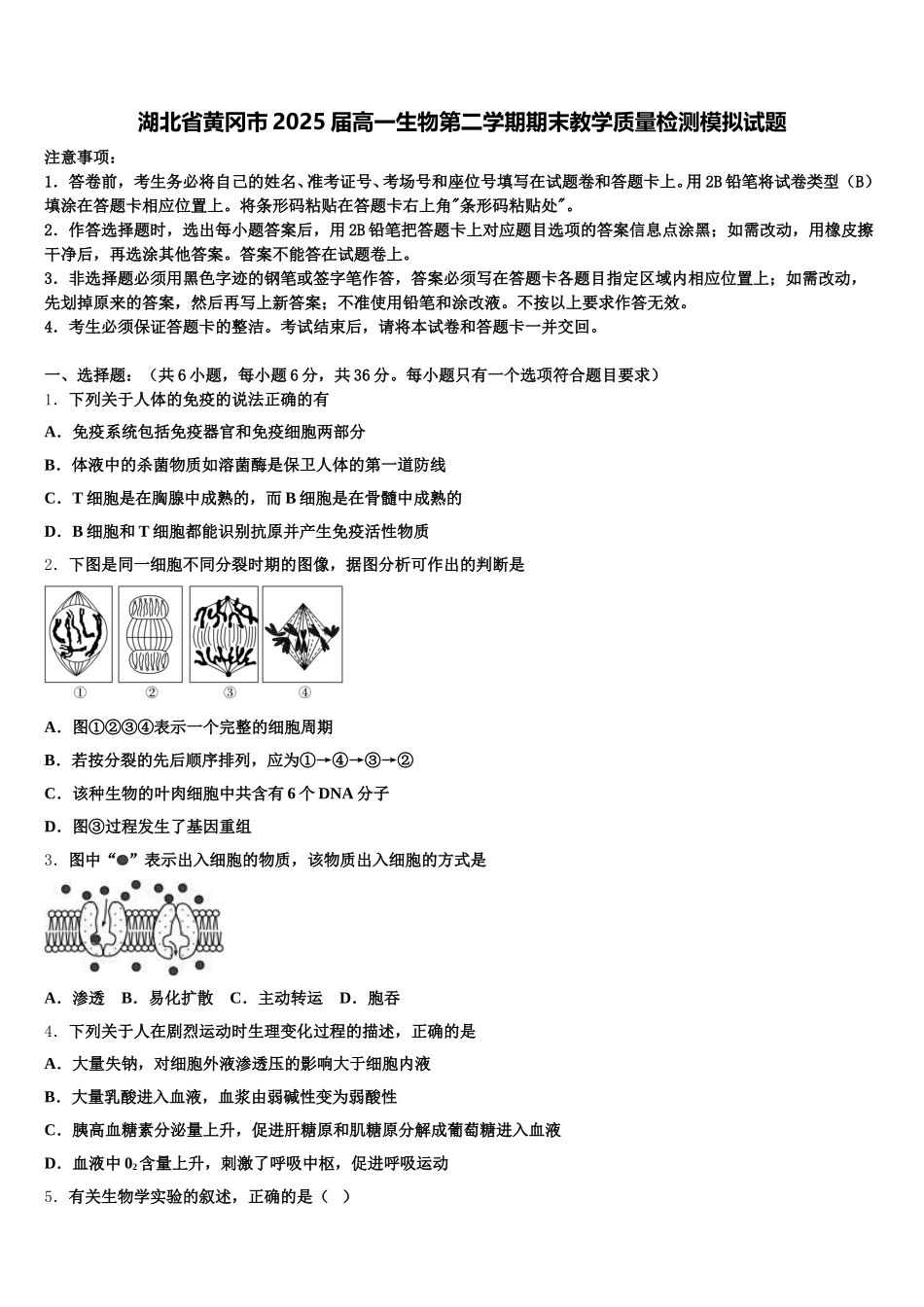 湖北省黄冈市2025届高一生物第二学期期末教学质量检测模拟试题含解析_第1页