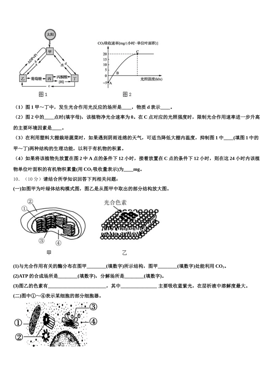 2025年湖北省武昌实验中学高一生物第二学期期末达标测试试题含解析_第3页