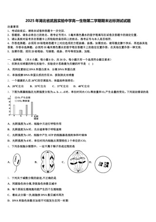 2025年湖北省武昌实验中学高一生物第二学期期末达标测试试题含解析