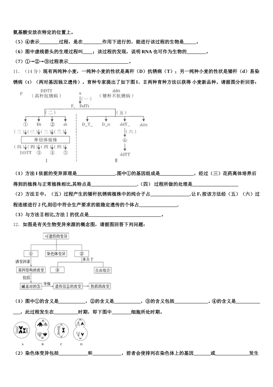 2025届湖北省黄梅县第二中学高一生物第二学期期末调研试题含解析_第3页