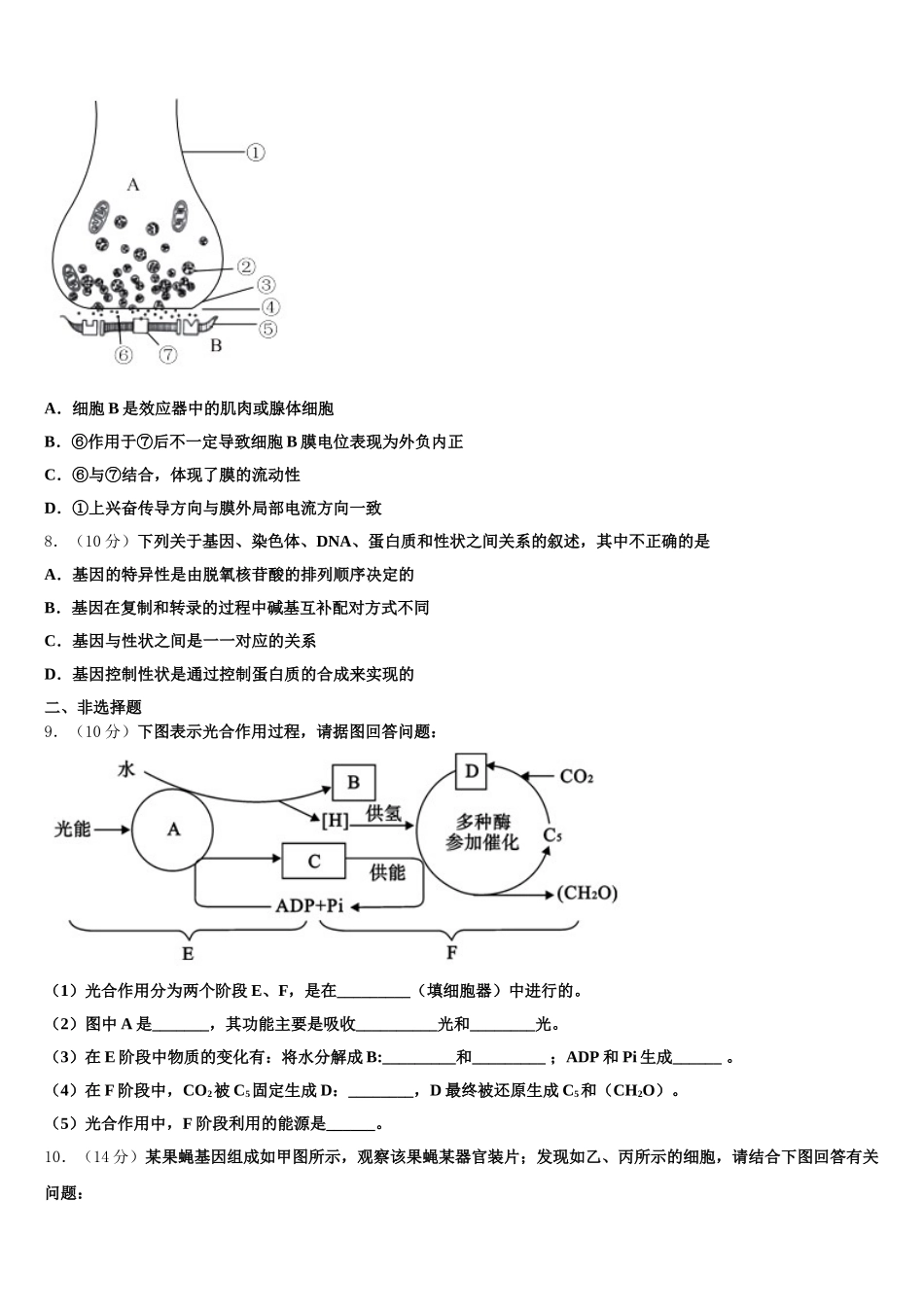 2025年湖北省武汉市华大新高一生物第二学期期末复习检测模拟试题含解析_第2页