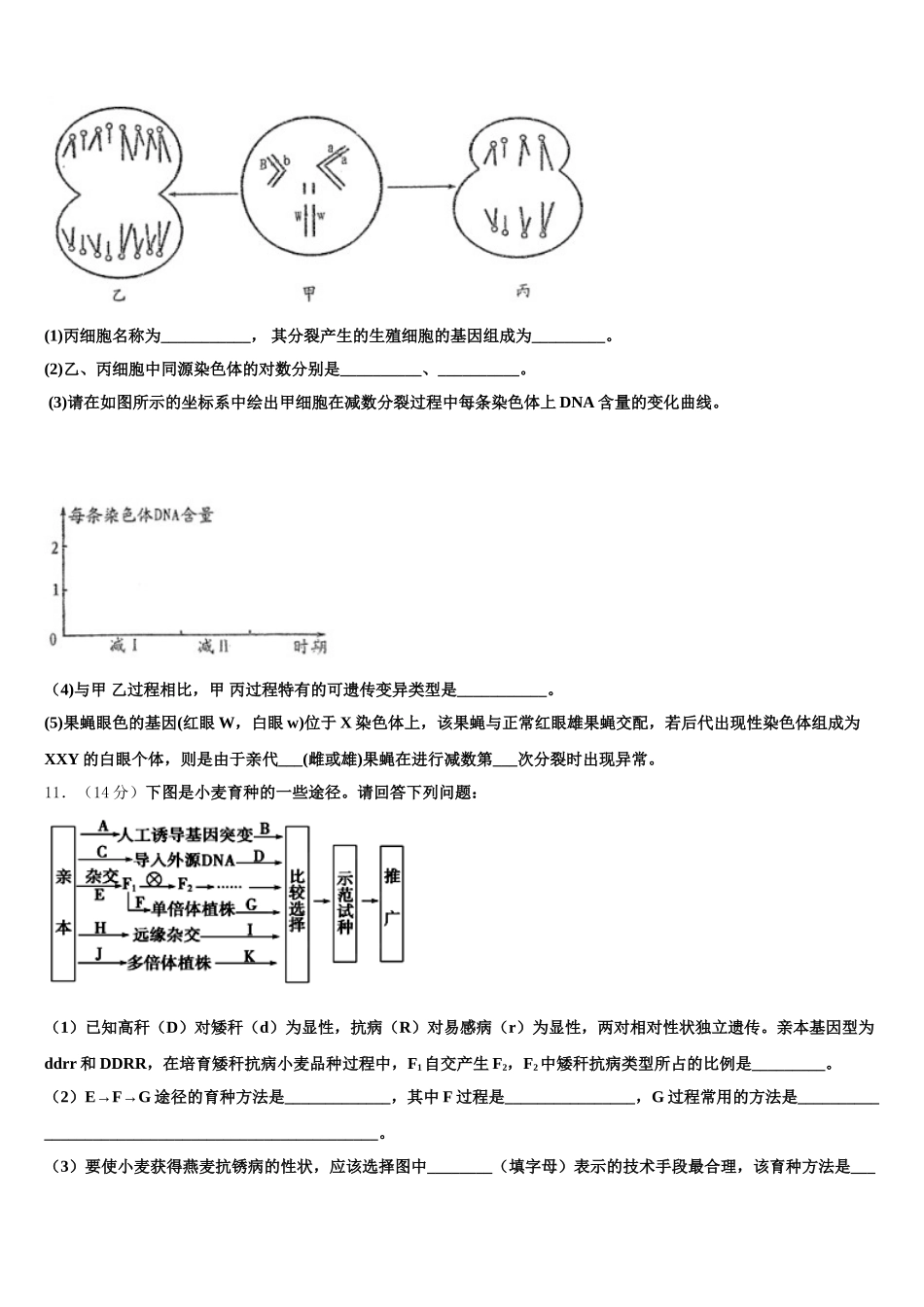 2025年湖北省武汉市华大新高一生物第二学期期末复习检测模拟试题含解析_第3页