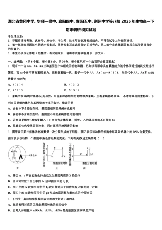 湖北省黄冈中学、华师一附中、襄阳四中、襄阳五中、荆州中学等八校2025年生物高一下期末调研模拟试题含解析