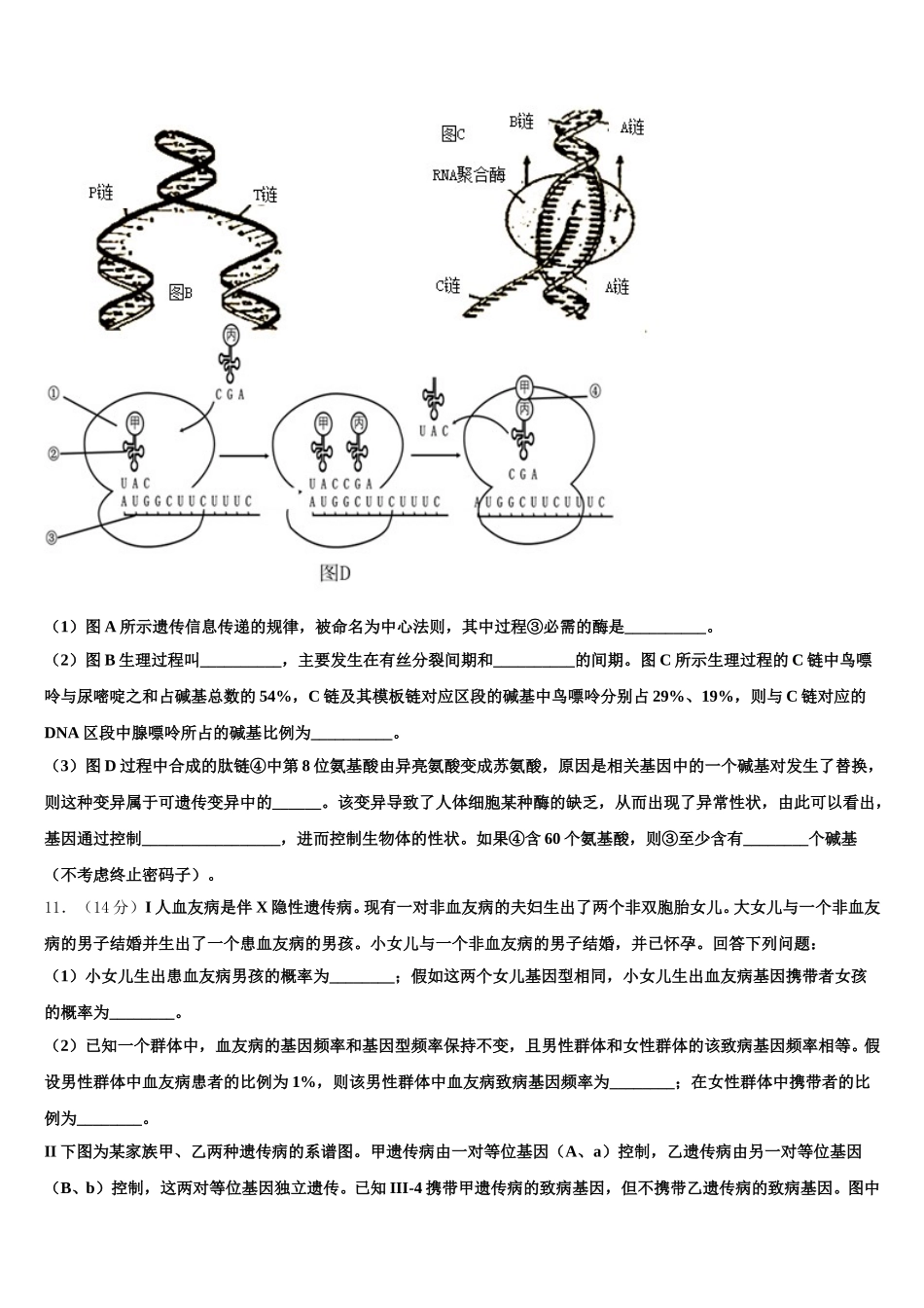 湖北省宜昌市二中2025年高一下生物期末教学质量检测试题含解析_第3页