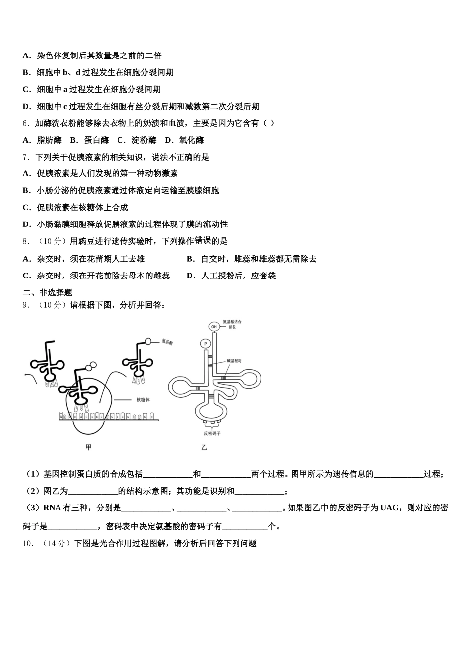 湖北省武汉市华大新2025年生物高一第二学期期末联考试题含解析_第2页