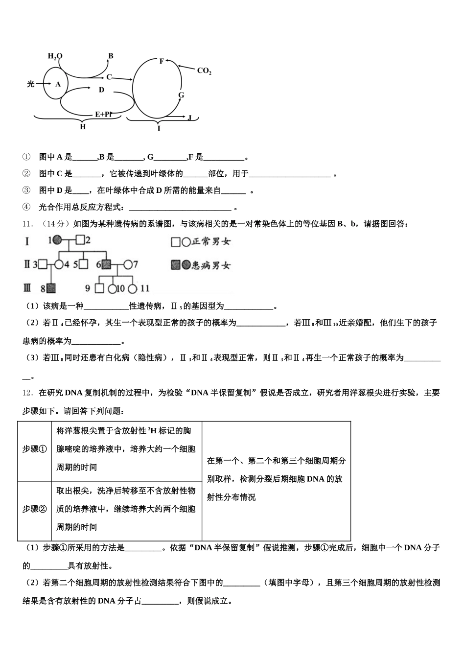 湖北省武汉市华大新2025年生物高一第二学期期末联考试题含解析_第3页