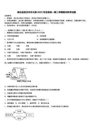 湖北省武汉市华大新2025年生物高一第二学期期末联考试题含解析