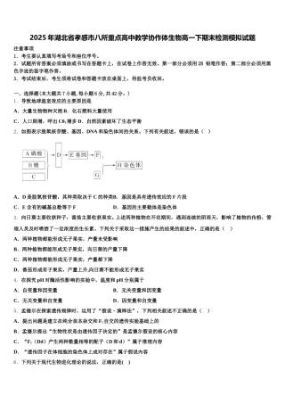 2025年湖北省孝感市八所重点高中教学协作体生物高一下期末检测模拟试题含解析
