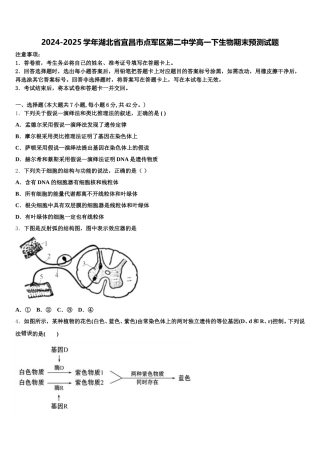 2024-2025学年湖北省宜昌市点军区第二中学高一下生物期末预测试题含解析